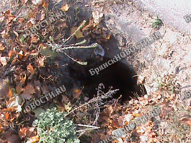 Обустройство канализации стоком в ливнёвку вылилось в штраф для жителя Новозыбкова
