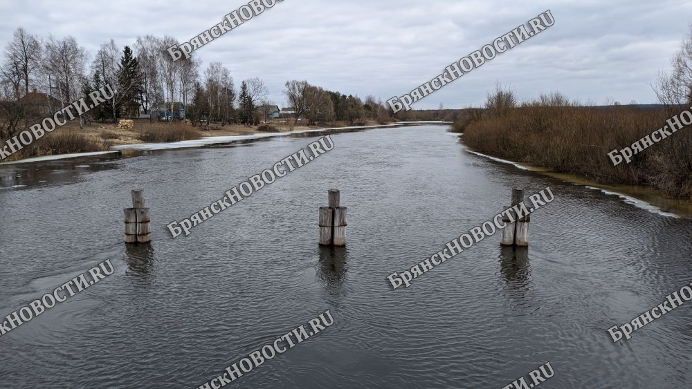 На реках Брянской области наблюдается повышение уровня воды от 3 до 54 сантиметров