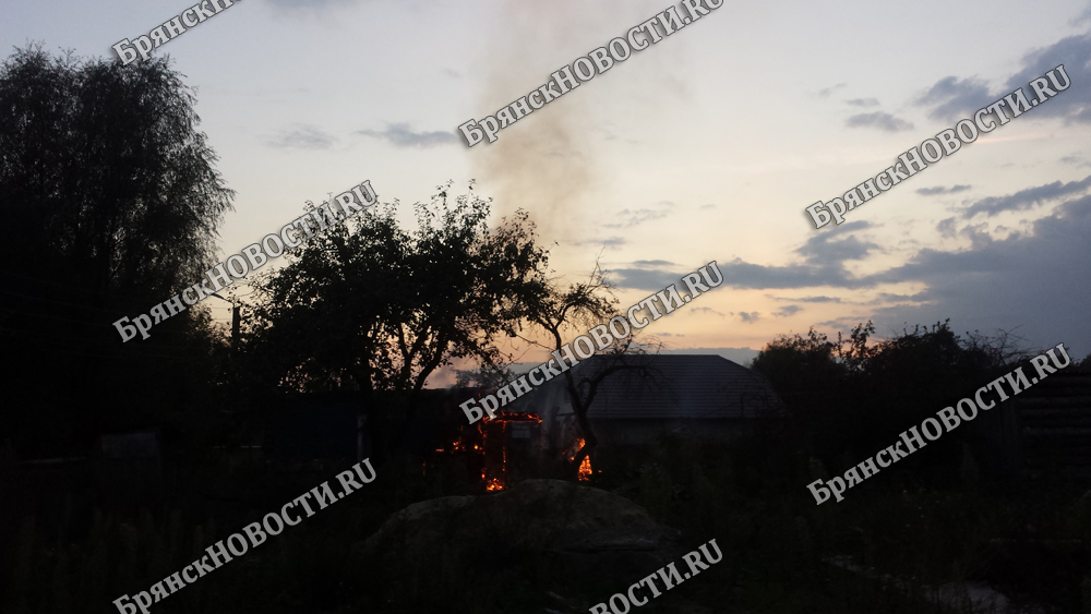 Вчерашний по-настоящему летний день не обошелся без пожаров в Новозыбкове
