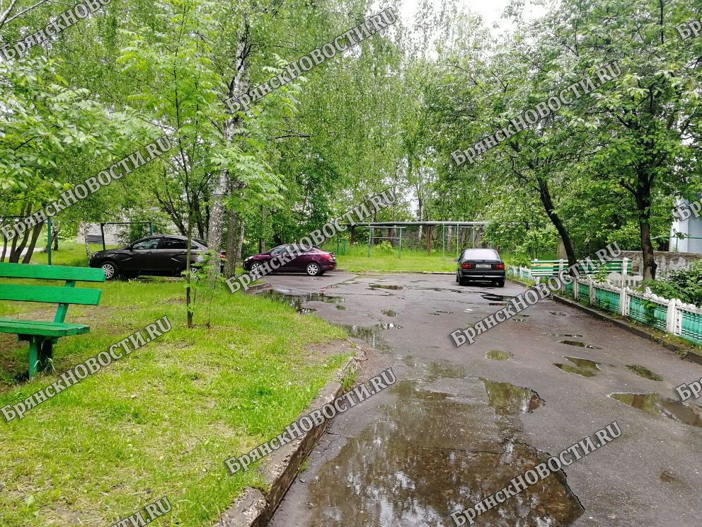 Банда воров из авто в Новозыбкове обчистила 16 машин