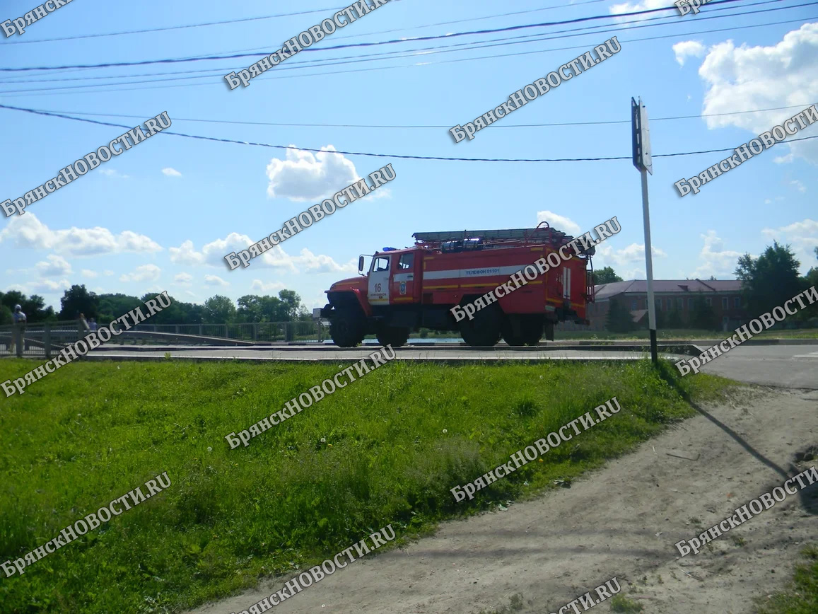 В Новозыбковском округе пожарные пока успевают остановить огонь