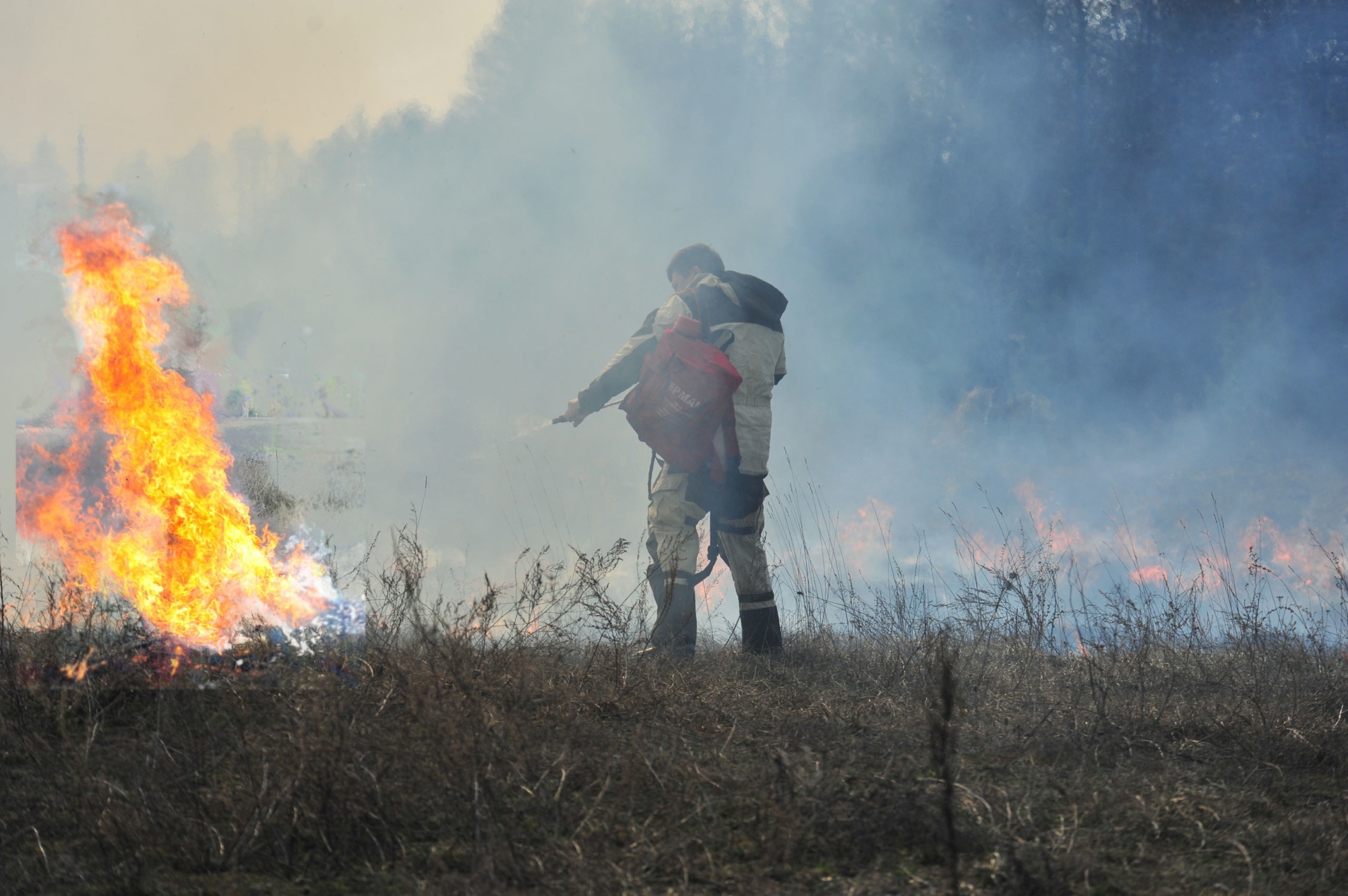 Более тысячи пожаров из-за сжигания сухой травы произошло на Брянщине с начала года