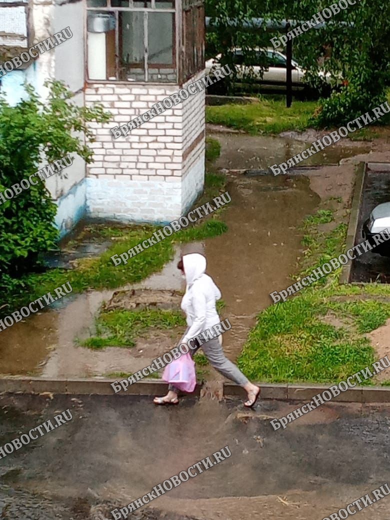 9 июня на территории Брянской области дожди и грозы, усилится ветер