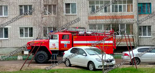 В Новозыбкове пожарным пришлось спасать кота