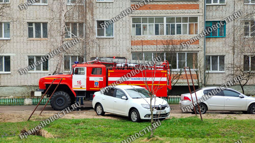 За выходные дни спасатели ПСЧ-16 трижды выезжали на тушение пожаров в Новозыбковском округе