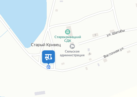 В село под Новозыбковом пообещали дать воду завтра