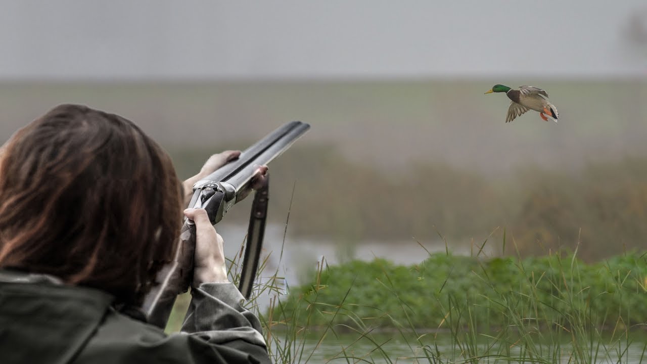 В Брянской области названы сроки охоты на птиц