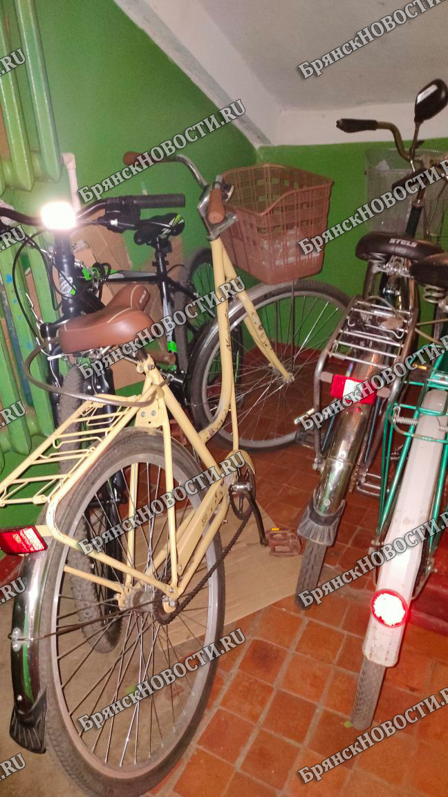 С начала года в Брянской области украли 73 велосипеда