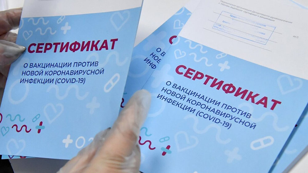 До года тюрьмы: жителей Брянской области предупредили об ответственности за поддельные COVID-сертификаты