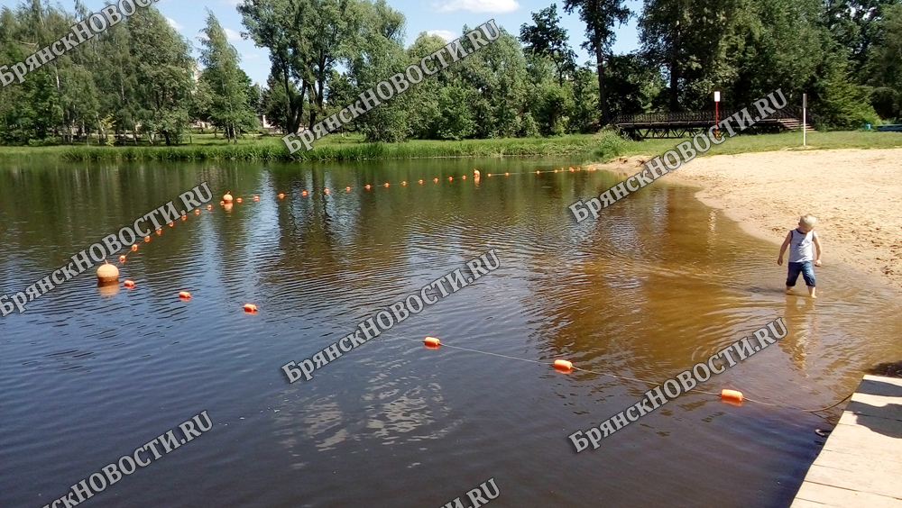 Купаться уже не комфортно в Брянской области