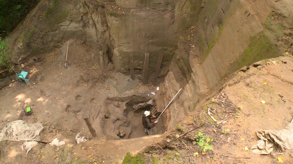 Останки мамонтов обнаружили под Брянском археологи