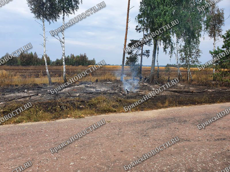 Такого страшного пожара не припомнят в Новозыбковском округе
