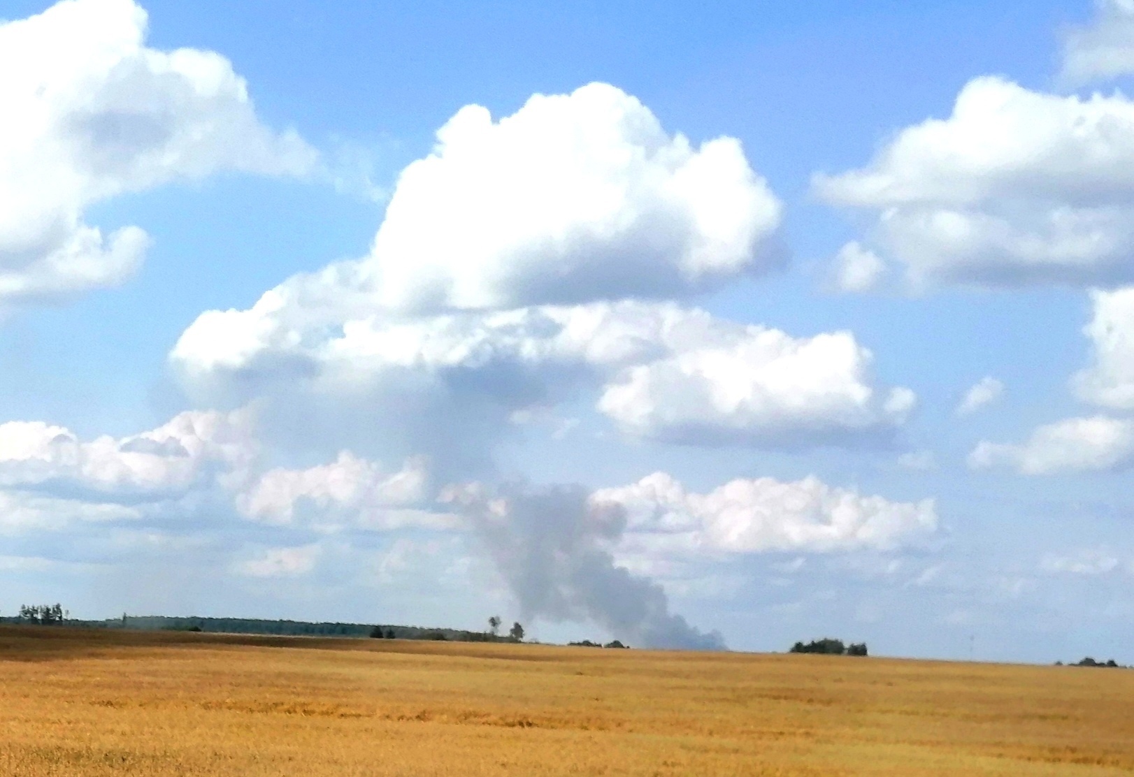 Пожар на поле под Новозыбковом устроила искра от комбайна