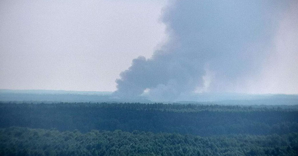 В Управлении лесами рассказали кто остановил лесной пожар под Новозыбковом