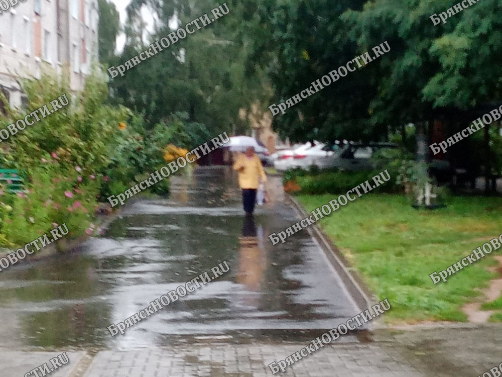 В Новозыбкове второй день дождь