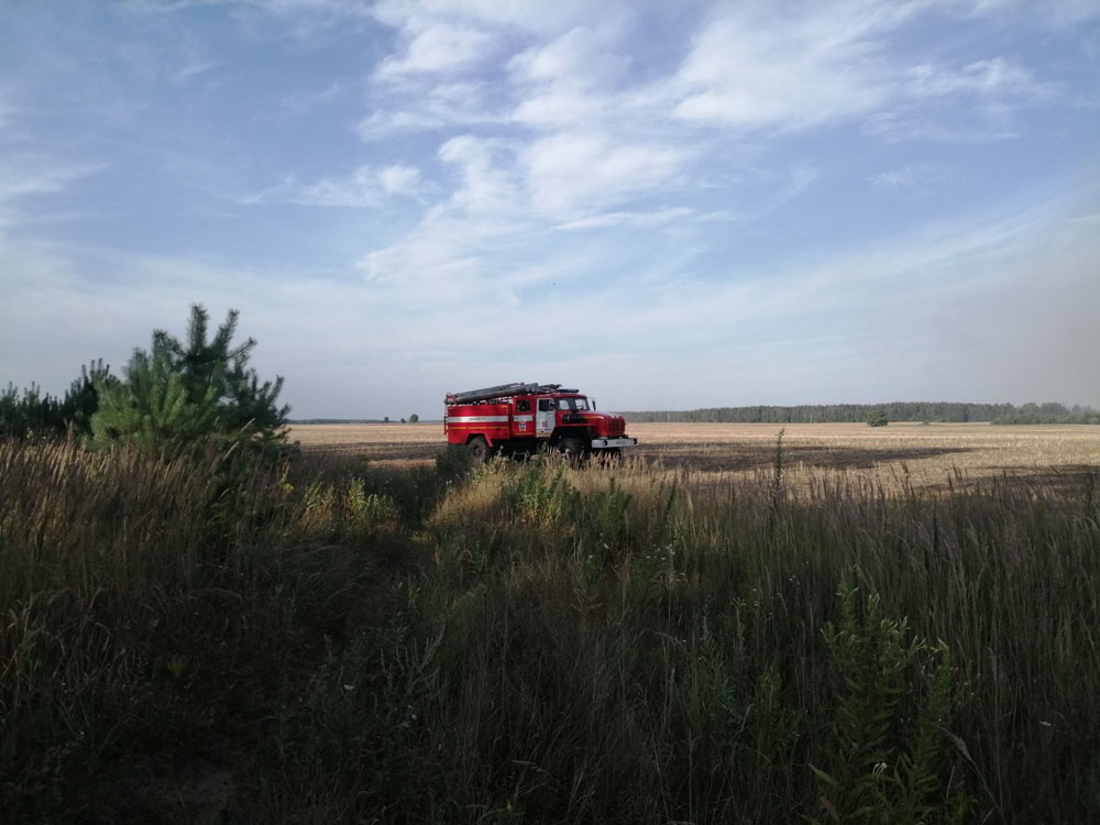 В Новозыбковском районе подумали горит зернохранилище