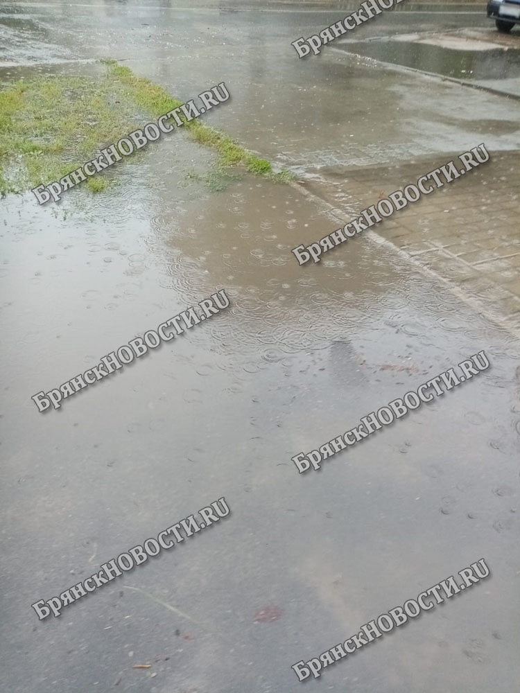 Непогода оставила жителей Новозыбкова без воды