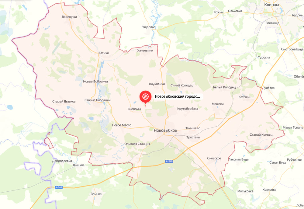 Разряд молнии обесточил пять сел в Новозыбковском округе