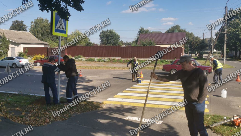 В Новозыбкове у горпарка обновили пешеходный переход