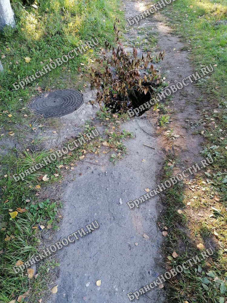 Глубокая яма образовалась на тротуаре в Новозыбкове