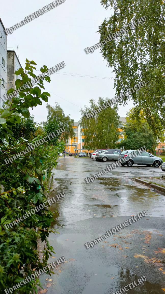 24 сентября на территории Брянской области дожди