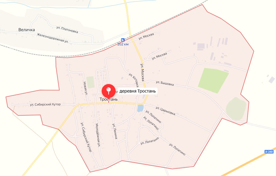 Замишево дом. Новозыбков тростань. Новозыбков на карте. Тростань замишево дома. Достоприм новозыбков.