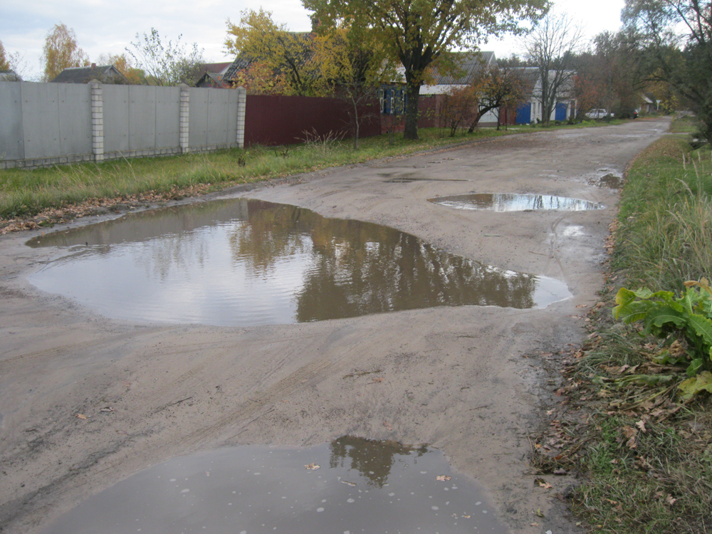 В Новозыбкове показали диковинные уличные пейзажи после дождя
