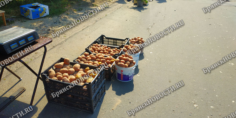 В детсады Новозыбкова закупают овощи