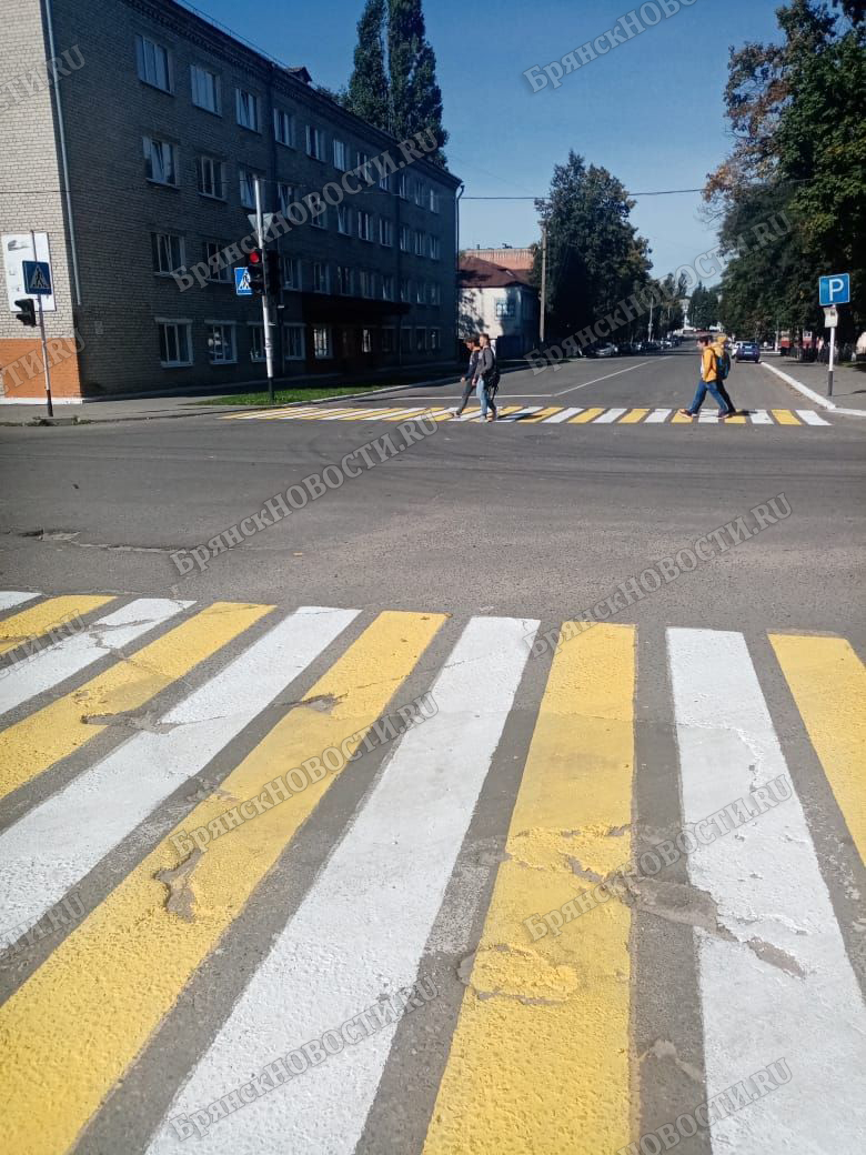 В Новозыбкове завтра пройдут рейды в рамках операции «Пешеход»