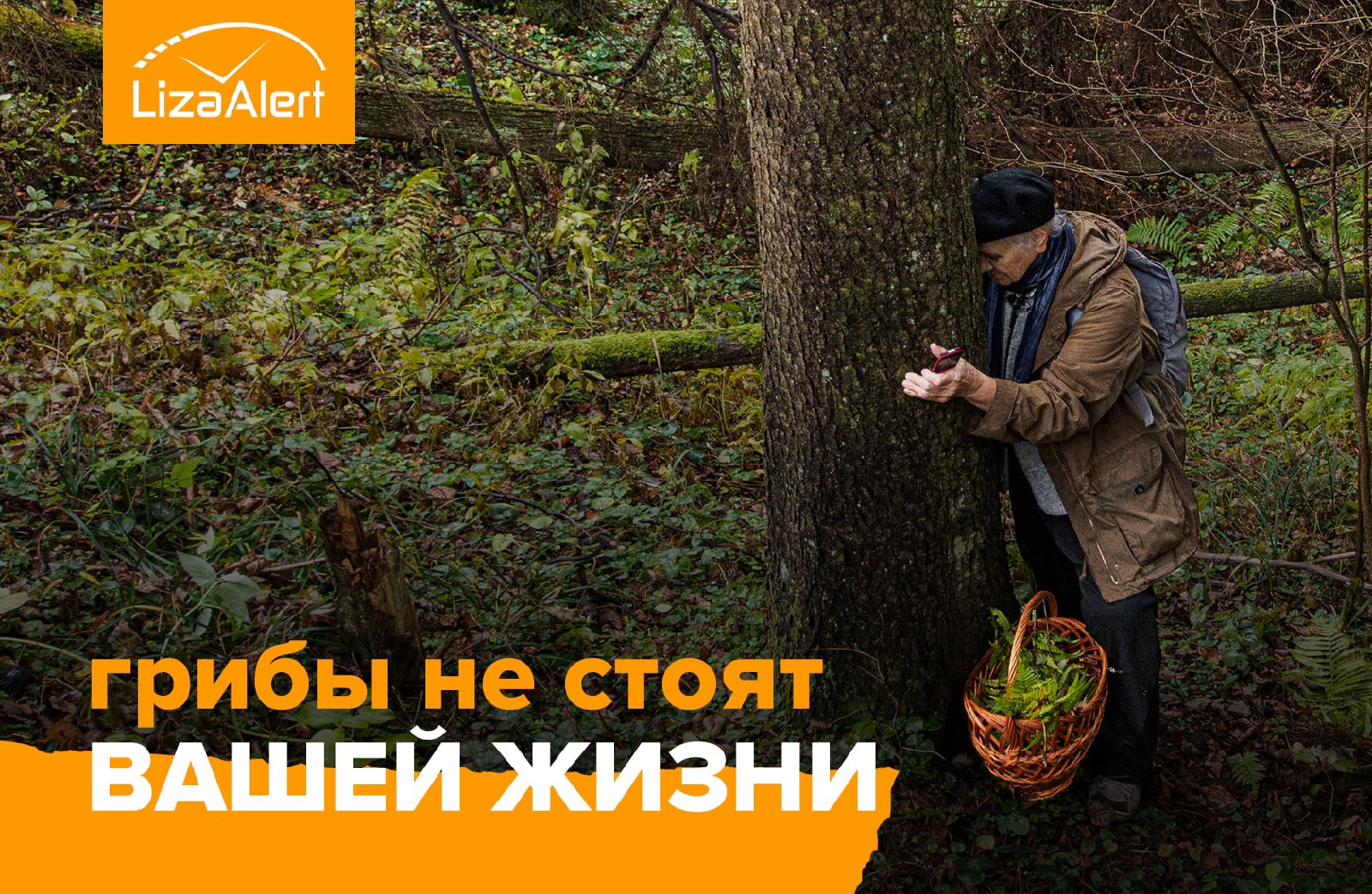 В брянских лесах в сентябре заплутали 153 грибника