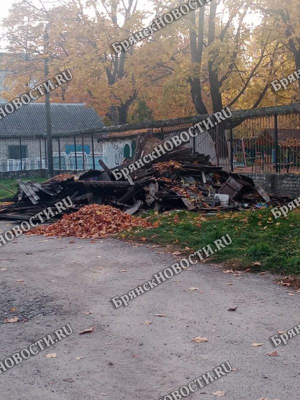 Старый сарай в Новозыбкове снесли за нарушение «общей экологической обстановки»