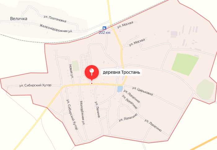 10-летний мальчик поранил голову в Новозыбковском районе