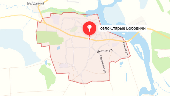 Кто-то погрелся. В Новозыбковском округе горел нежилой дом