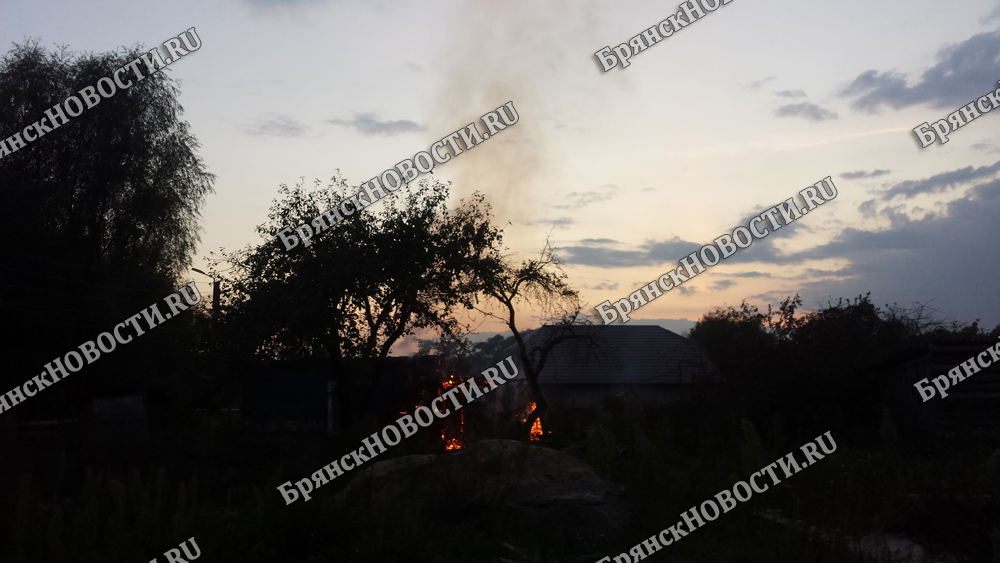 На окраине Новозыбкова горел мусор