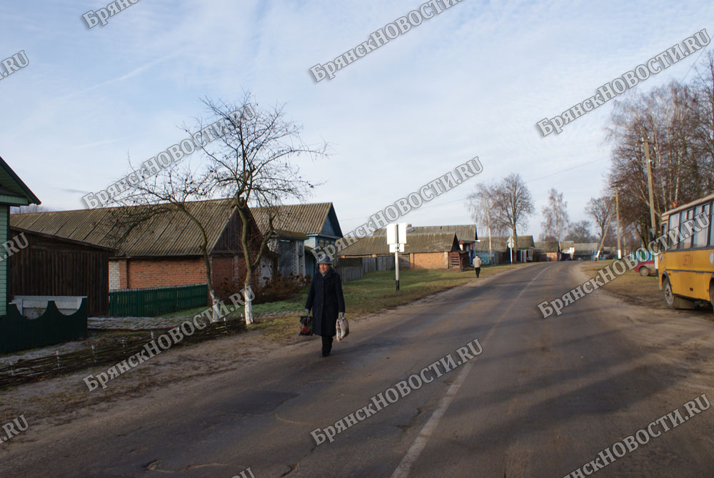 Авария на линии стала причиной отсутствия электричества в селах Новозыбковского района