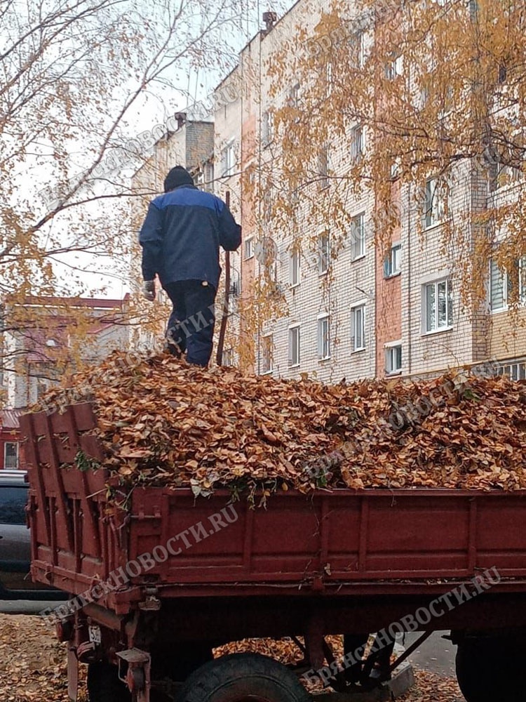 «И рад бы быть прилежным, да дорого обходится» вывоз листвы в Новозыбкове