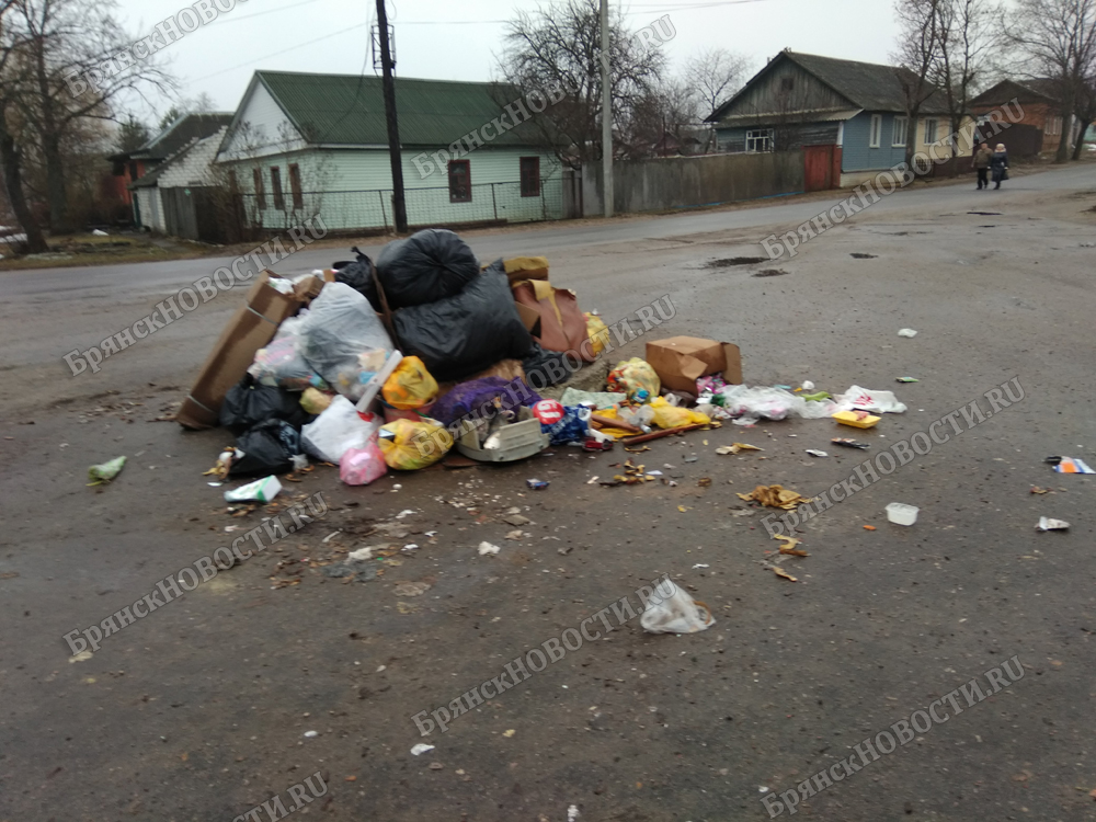 В Новозыбкове обнаружился дефицит земли