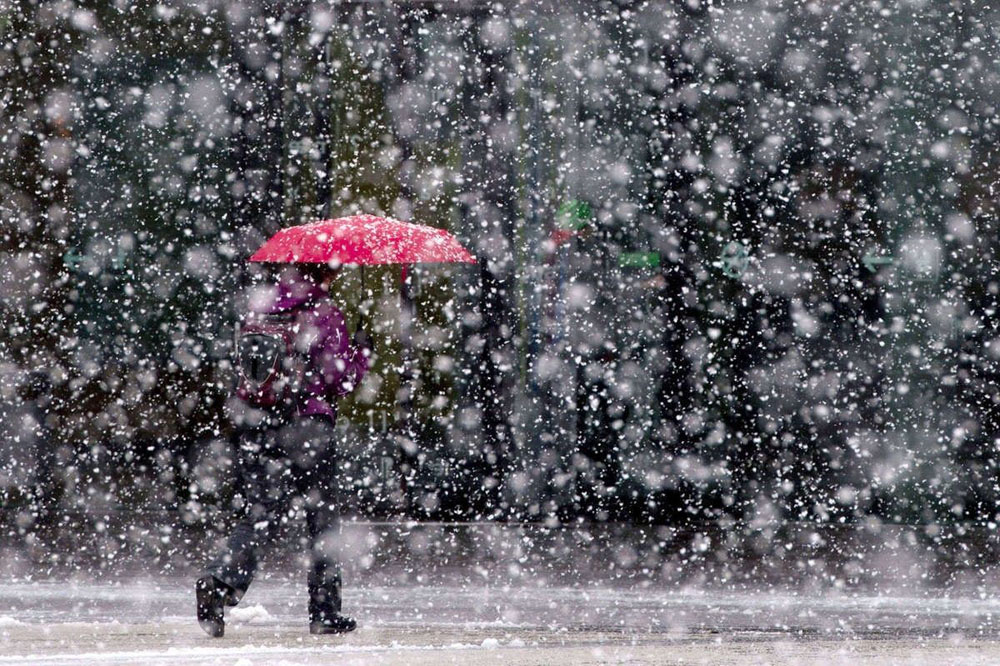 Такого не видели 73 года: в субботу синоптики обещают Брянщине сильнейший мокрый снегопад