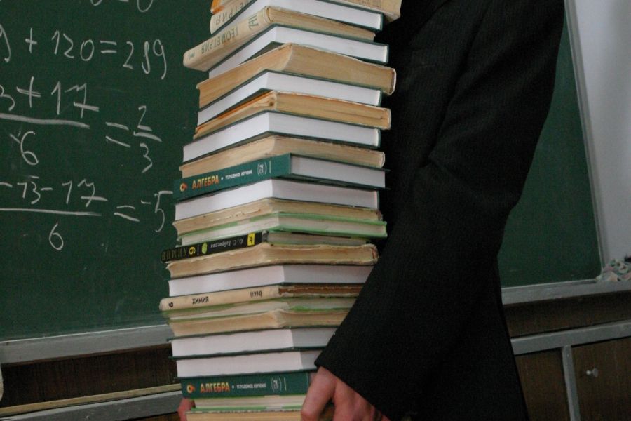 От покупки учебников до массовых отравлений: в школах Брянской области выявили более 300 нарушений