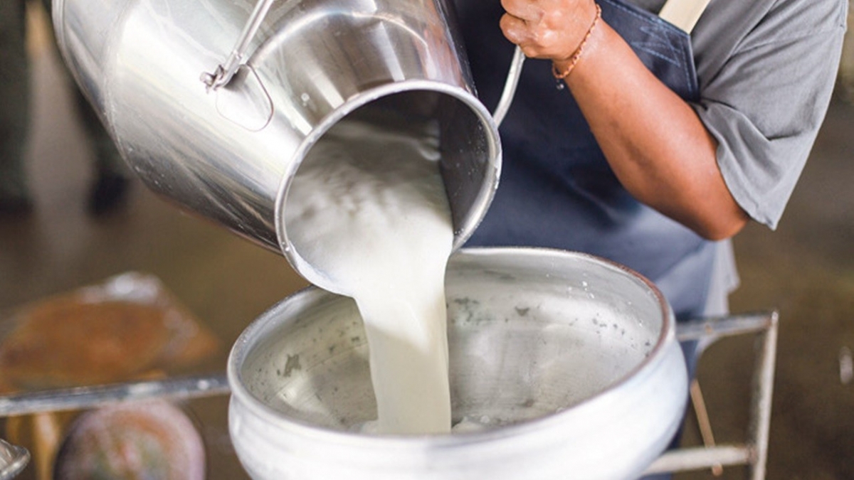 На молокозаводе в Брянской области из 100 килограммов масла получали 5 тонн молочной продукции