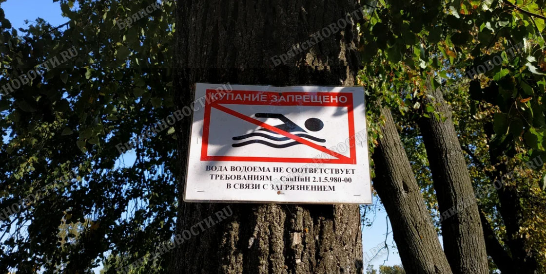 В Брянской области ужесточат ответственность за купание детей в запрещенных местах