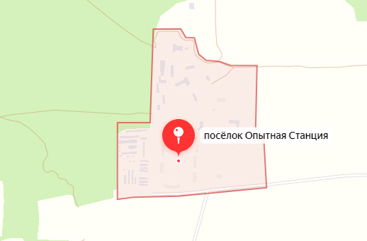 Опасные сосны убрали на кладбище в Новозыбкове
