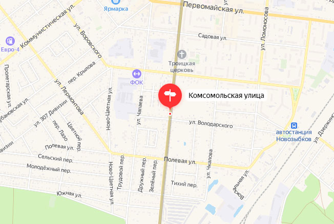 Нетрезвый водитель в Новозыбкове врезался в электроопору