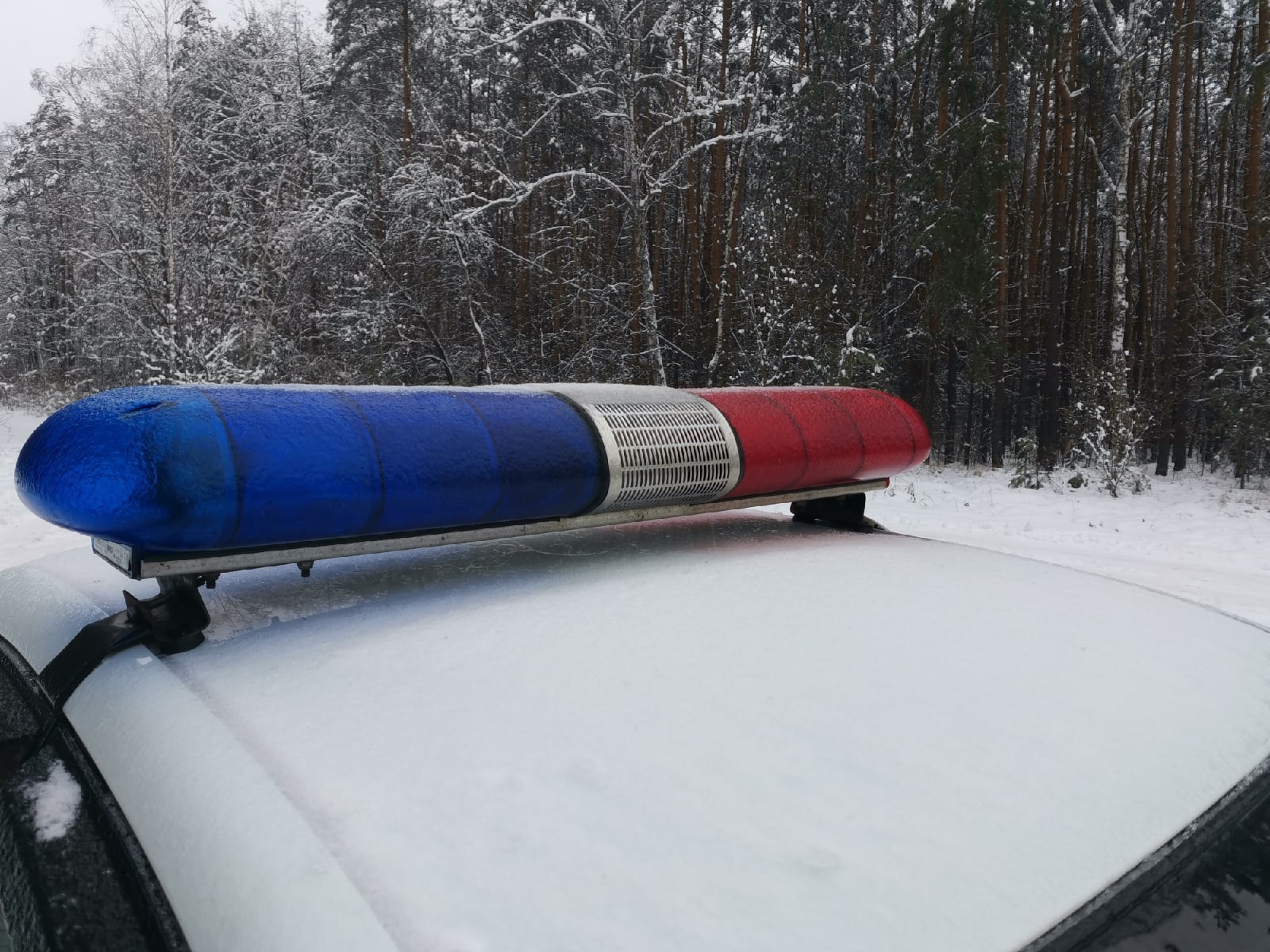 Перебравшего спиртного водителя отстранили от управления авто в Новозыбкове