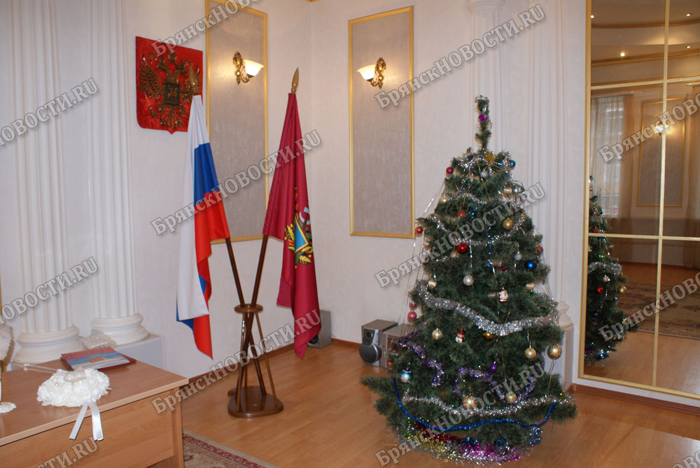 Красивым датам декабря молодожены в Новозыбкове предпочли последние дни года