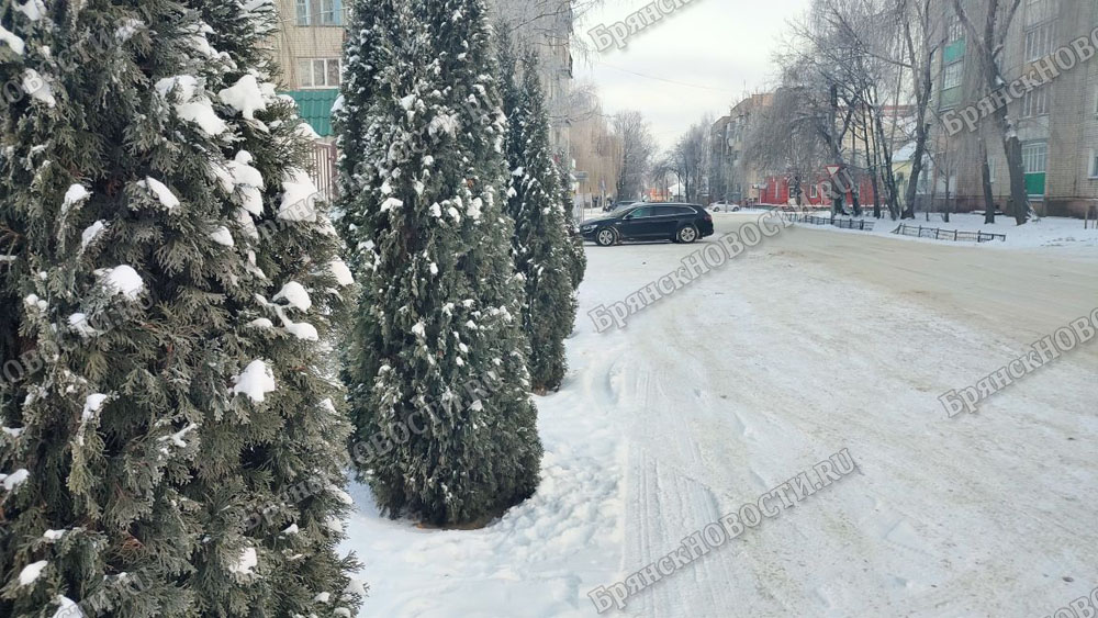 Новогодняя елка в доме необязательно должна быть традиционной