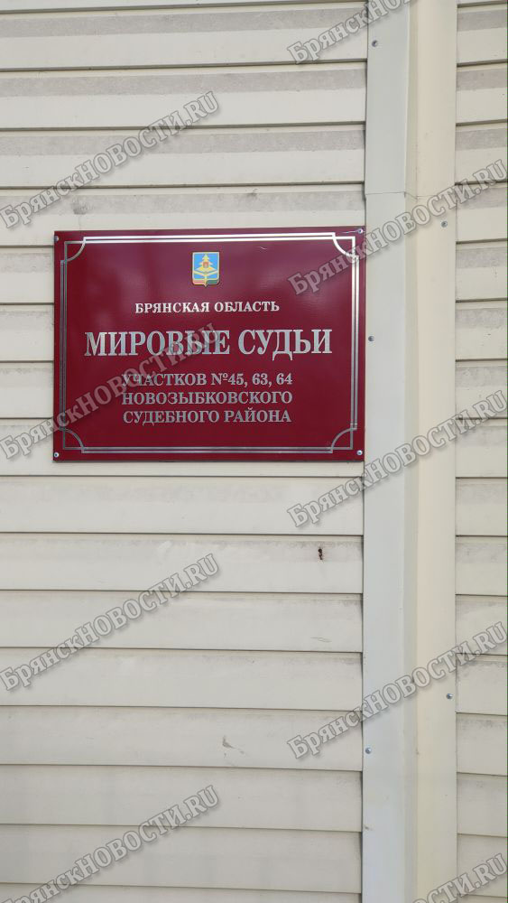 Буйного жителя Новозыбкова ограничили в свободе на год