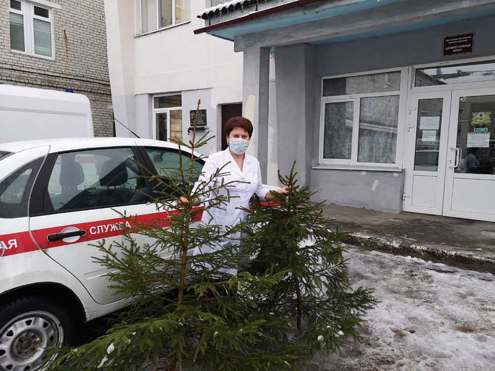 Лесники привезут в больницы Брянска и области 1000 новогодних елок