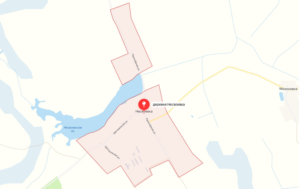 В Новозыбковском округе пожар уничтожил хозпостройку