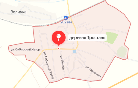 Пожар оставил семью в Новозыбковском округе в зимние морозы без крова